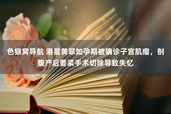 色狼窝导航 港星黄翠如孕期被确诊子宫肌瘤，剖腹产后要紧手术切除导致失忆