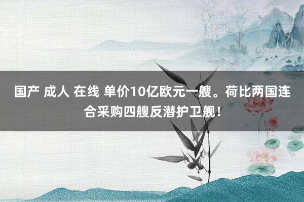 国产 成人 在线 单价10亿欧元一艘。荷比两国连合采购四艘反潜护卫舰！