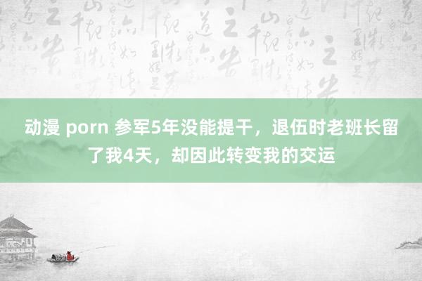 动漫 porn 参军5年没能提干，退伍时老班长留了我4天，却因此转变我的交运