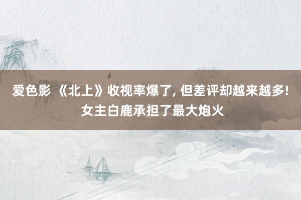 爱色影 《北上》收视率爆了， 但差评却越来越多! 女主白鹿承担了最大炮火