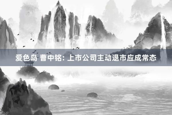 爱色岛 曹中铭: 上市公司主动退市应成常态