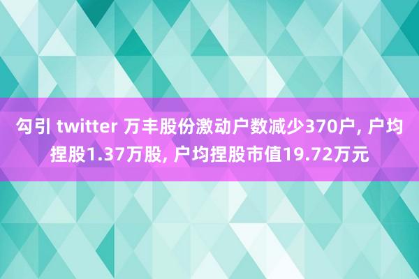 勾引 twitter 万丰股份激动户数减少370户， 户均捏股1.37万股， 户均捏股市值19.72万元