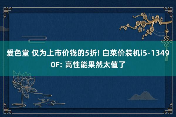 爱色堂 仅为上市价钱的5折! 白菜价装机i5-13490F: 高性能果然太值了
