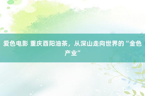爱色电影 重庆酉阳油茶，从深山走向世界的“金色产业”