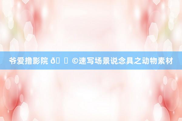 爷爱撸影院 🚩速写场景说念具之动物素材