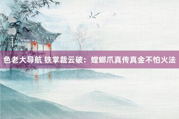 色老大导航 铁掌裁云破：螳螂爪真传真金不怕火法