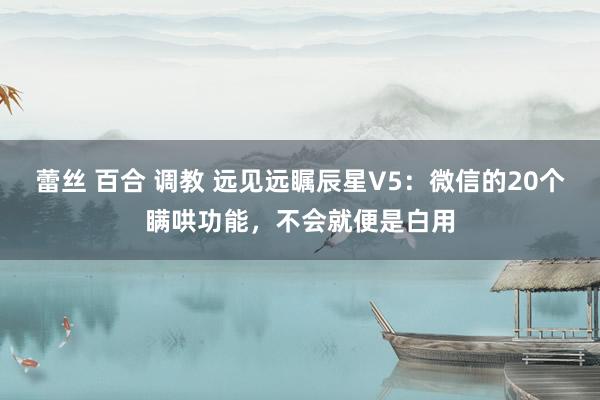 蕾丝 百合 调教 远见远瞩辰星V5：微信的20个瞒哄功能，不会就便是白用