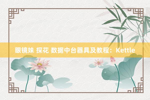 眼镜妹 探花 数据中台器具及教程：Kettle