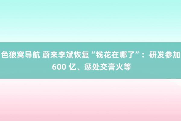 色狼窝导航 蔚来李斌恢复“钱花在哪了”：研发参加 600 亿、惩处交膏火等